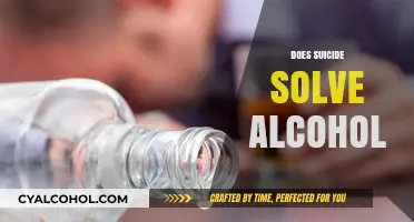Does Suicide Solve Alcohol Problems? Exploring the Tragic Misconception