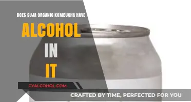 Suja Organic Kombucha: Alcohol Content Explained and Answered