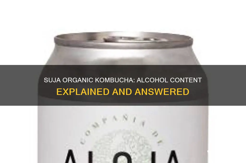 does suja organic kombucha have alcohol in it