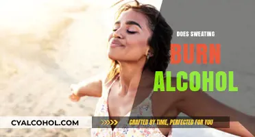Sweating and Alcohol: Does Perspiration Help Detox Your Body?