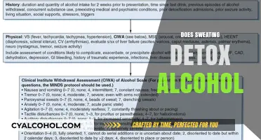 Sweating and Alcohol Detox: Fact or Fiction? Unveiling the Truth