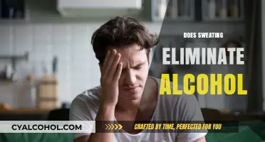 Sweating and Alcohol: Can Perspiration Help Eliminate Toxins?