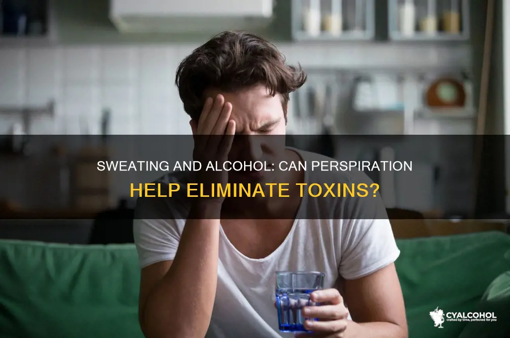 does sweating eliminate alcohol