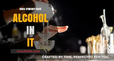 Does Synergy Contain Alcohol? Unveiling the Truth About Its Ingredients