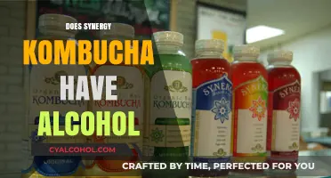 Does Synergy Kombucha Contain Alcohol? Unveiling the Fermented Truth