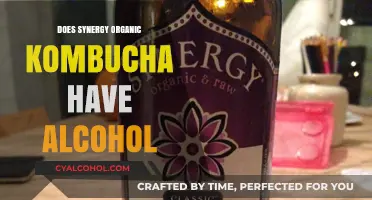Does Synergy Organic Kombucha Contain Alcohol? Unveiling the Truth