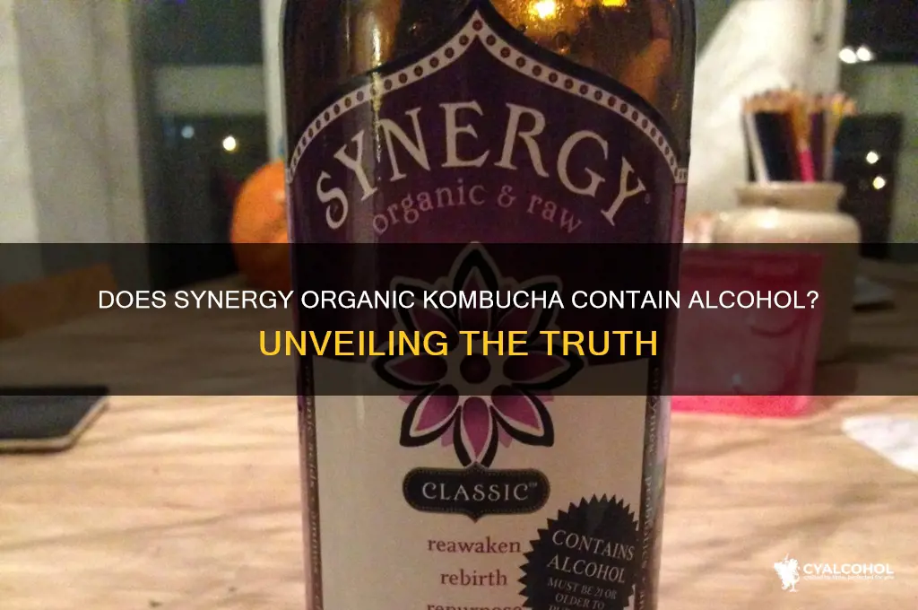 does synergy organic kombucha have alcohol