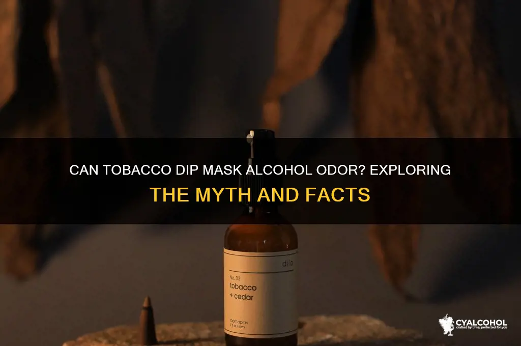 does tabacco dip hide alcohol smell