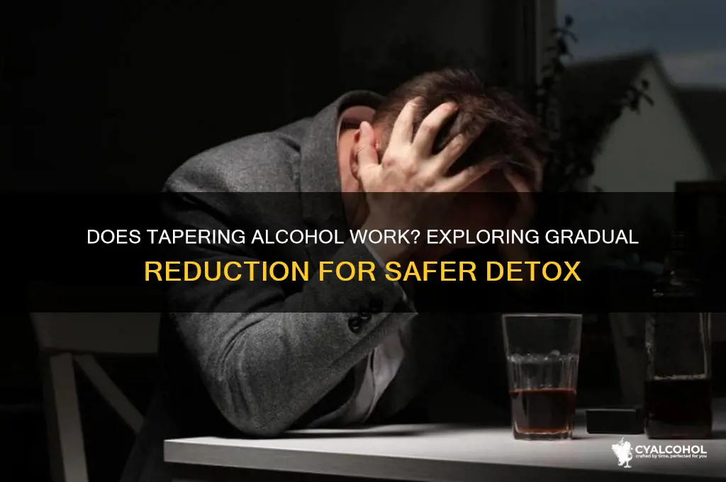 does tapering alcohol work
