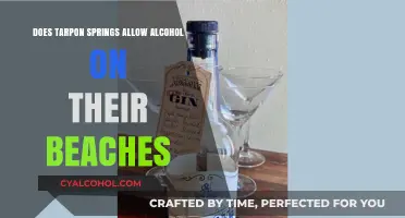 Alcohol on Tarpon Springs Beaches: Rules and Regulations Explained