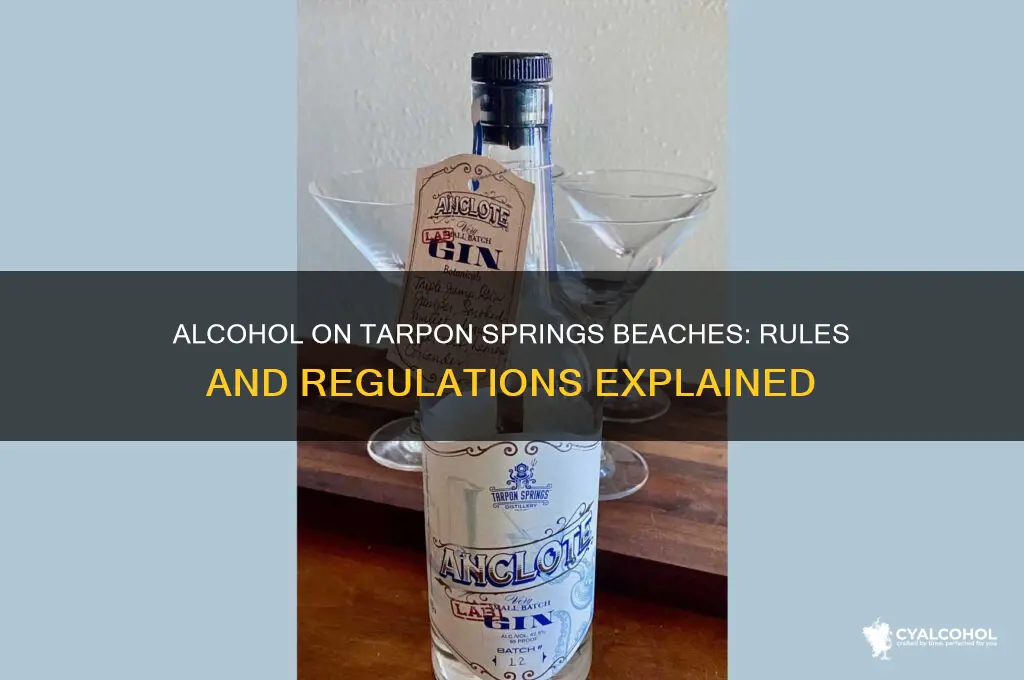 does tarpon springs allow alcohol on their beaches