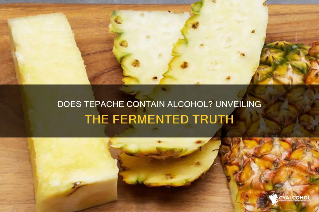 does tepache have alcohol