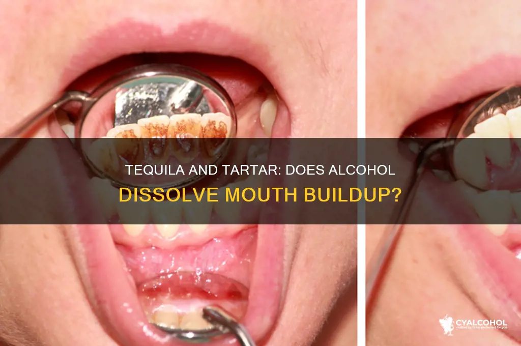 does tequila alcohol disolve mouth tarter