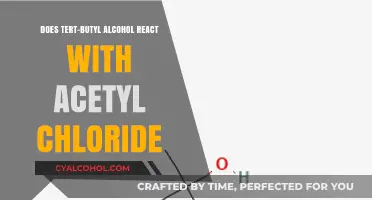 Tert-Butyl Alcohol and Acetyl Chloride Reaction: Mechanism and Outcomes