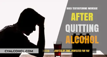 Quitting Alcohol: How It Boosts Testosterone Levels Naturally