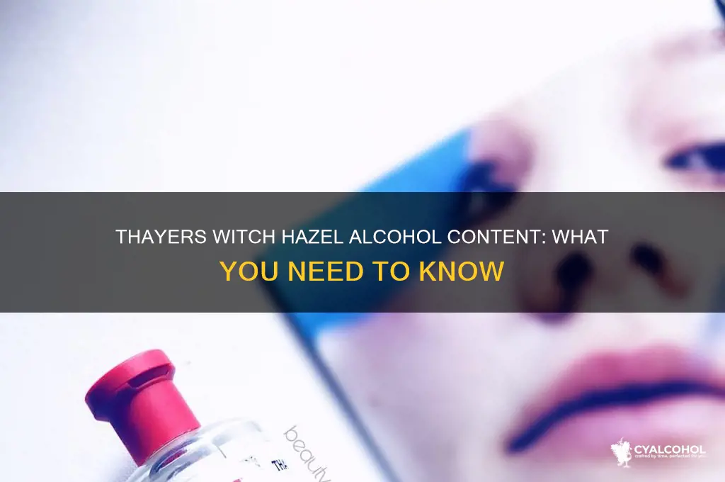 does thayers witch hazel have alcohol