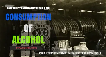 Amendment 17: Alcohol Consumption Ban?