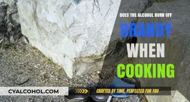 Does Alcohol Burn Off in Brandy When Cooking? The Truth Revealed