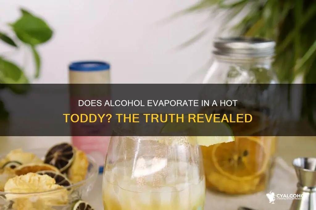 does the alcohol evaporate from a hot toddy