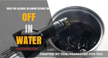Lemon Extracts: Does Alcohol Boil Off?