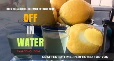 Lemon Extract: Does Alcohol Burn Off in Water?