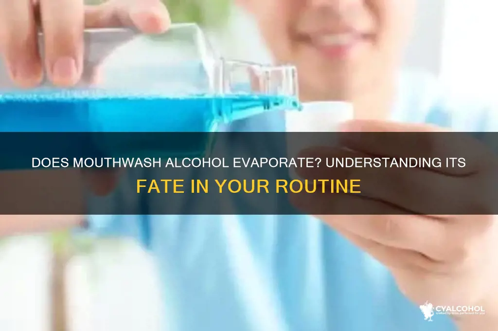 does the alcohol in mouthwash evaporate
