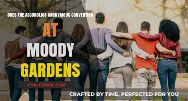 Alcoholics Anonymous Convention at Moody Gardens: A Path to Recovery?