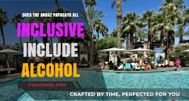 Andaz Papagayo All-Inclusive: Alcohol Included or Extra Cost?