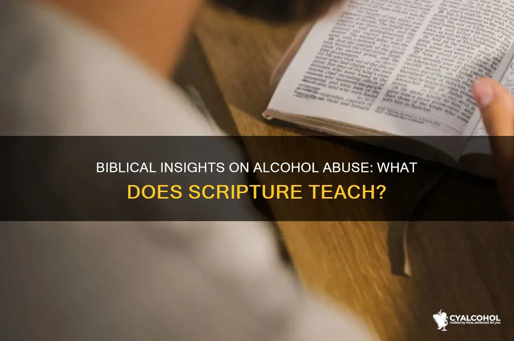 does the bible say anything about alcohol abuse