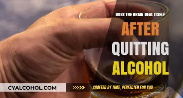Brain Recovery After Quitting Alcohol: Can It Heal Itself?