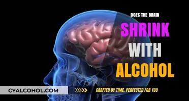 Alcohol's Impact: Does Chronic Drinking Cause Brain Shrinkage?