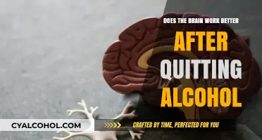 Sober Brain Power: How Quitting Alcohol Enhances Cognitive Function