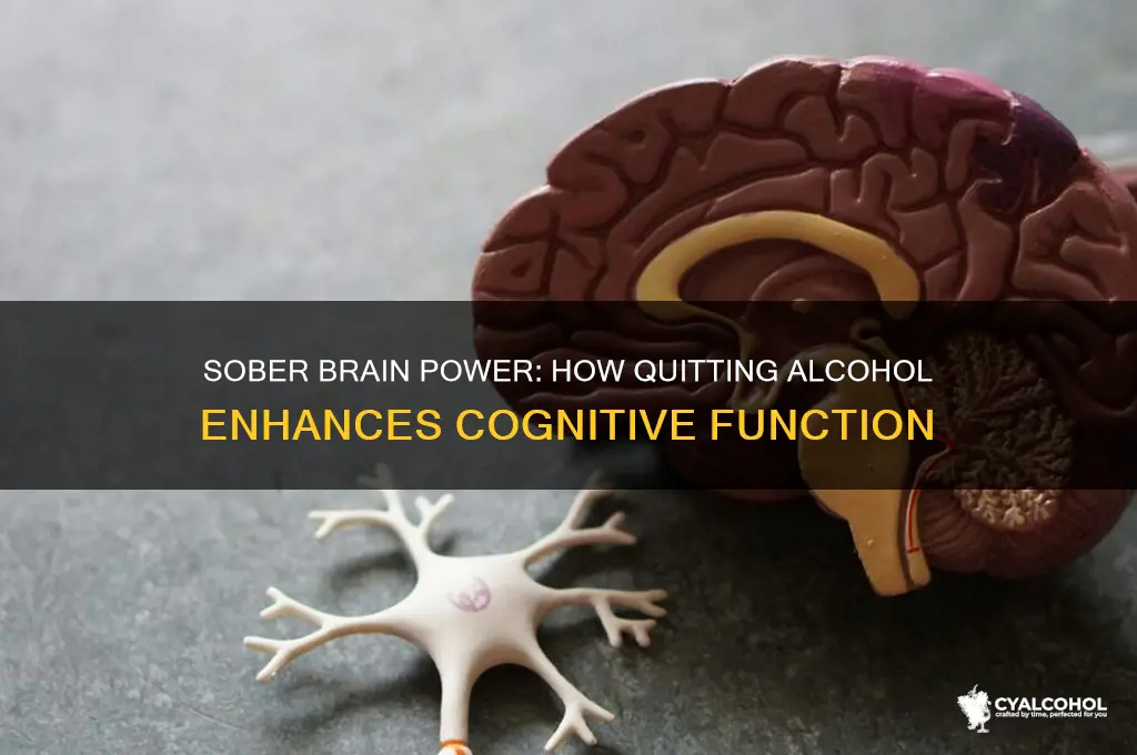 does the brain work better after quitting alcohol