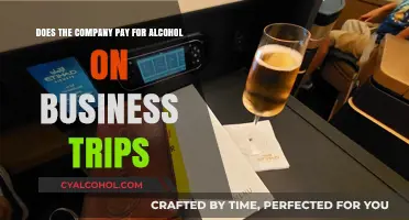 Business Trips: Alcohol and Company Expenses