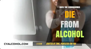 Alcohol's Effectiveness Against Coronavirus: Separating Fact from Fiction
