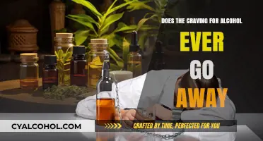 Can Alcohol Cravings Disappear? Understanding Long-Term Recovery and Sobriety