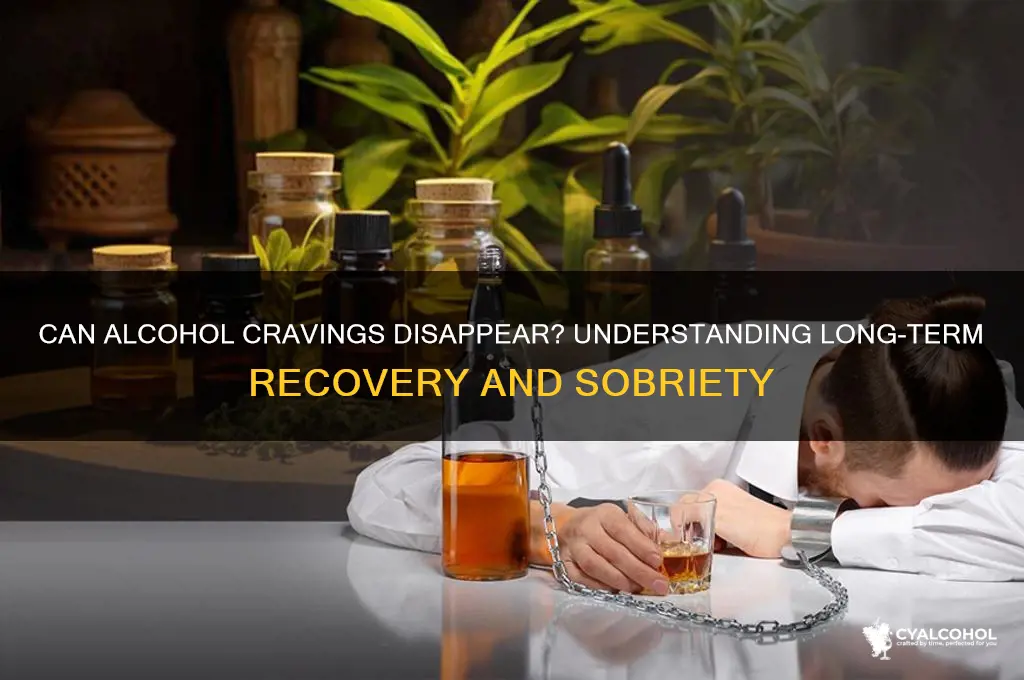 does the craving for alcohol ever go away