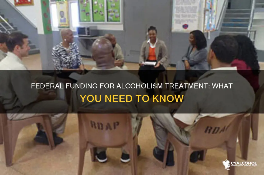 does the federal government pay for alcoholism treatment