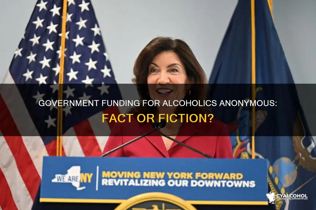 does the government fund alcoholics anonymous
