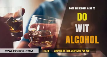 Kidney Function and Alcohol: Understanding the Connection and Risks