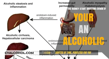Alcohol's Impact: Kidney Shutdown Risk