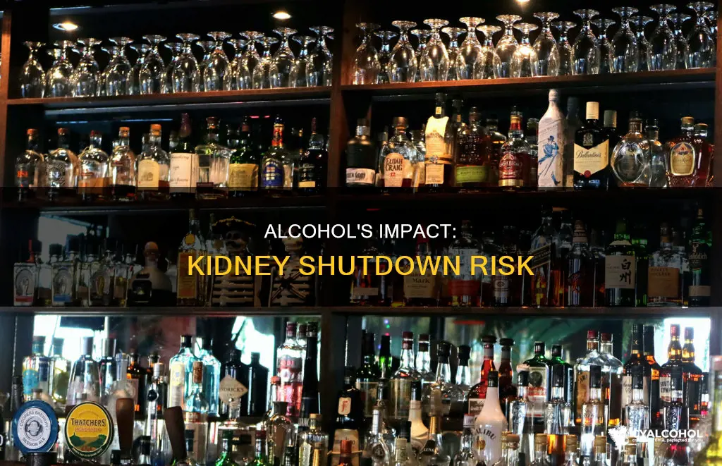 does the kidney start shutting down if your an alcoholic