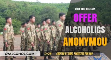 Military Support for Sobriety: Does the Military Offer Alcoholics Anonymous?
