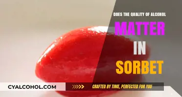 Alcohol Quality in Sorbet: Does It Elevate or Just Intoxicate?