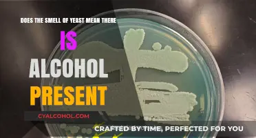 Yeast and Alcohol: What Does the Smell of Yeast Indicate?