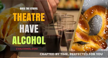 Does the Stiefel Theatre Serve Alcohol? A Guide for Visitors