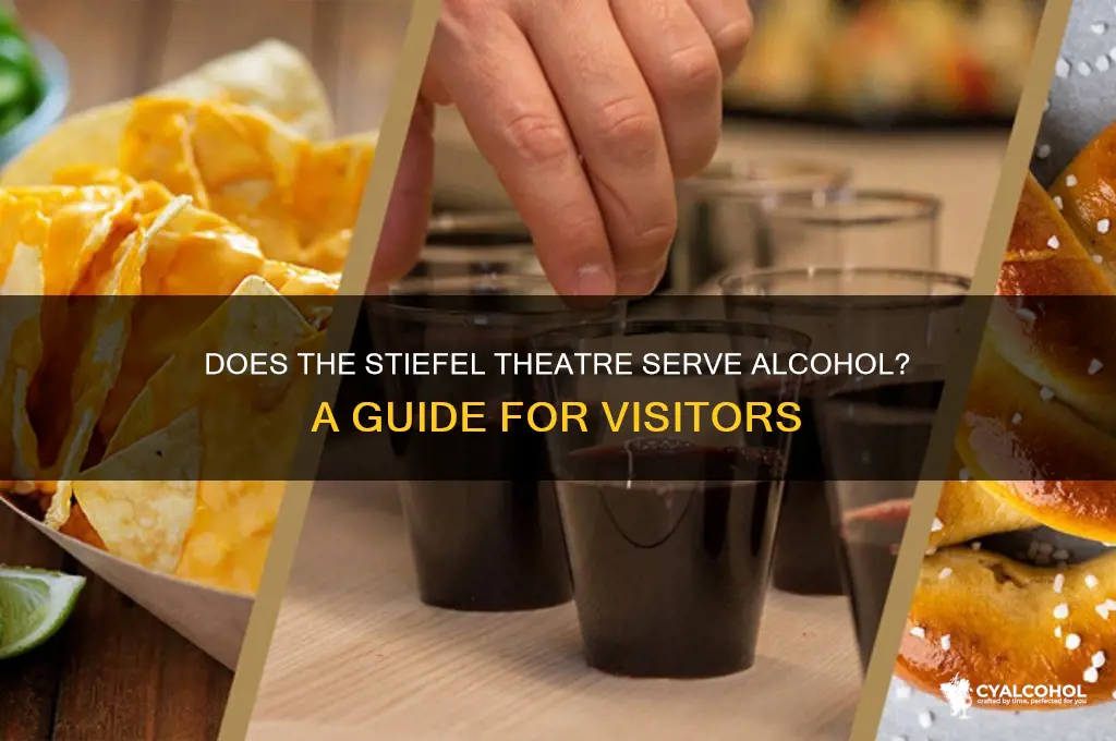 does the stiefel theatre have alcohol