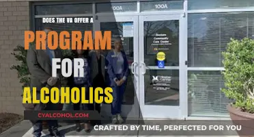 VA Alcohol Treatment Programs: Support for Veterans Battling Alcoholism