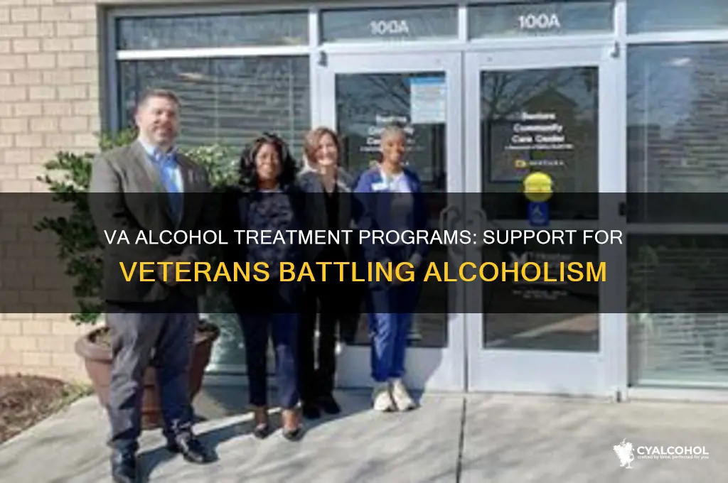 does the va offer a program for alcoholics