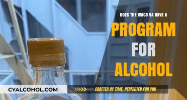 Waco VA Alcohol Treatment: What's Available?
